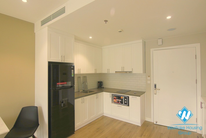 A brand-new and modern design apartment for rent in Thuy Khue  